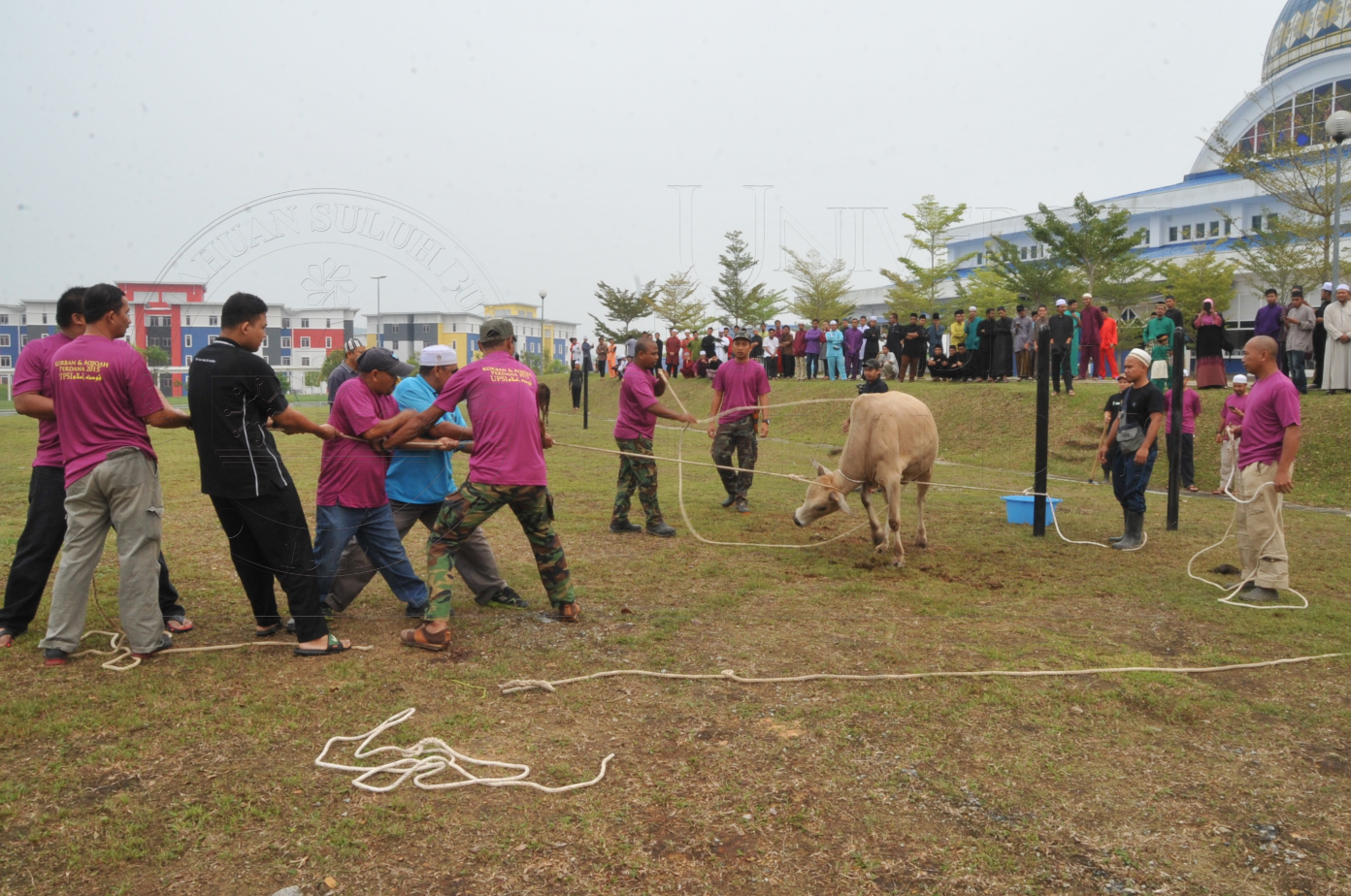 PRO15 150 KORBAN HAS 6674